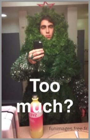 noel_1.jpg