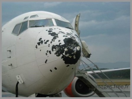 easyjet_1.jpg, déc. 2014 easyjet_1.jpg